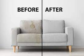 sofa cleaning